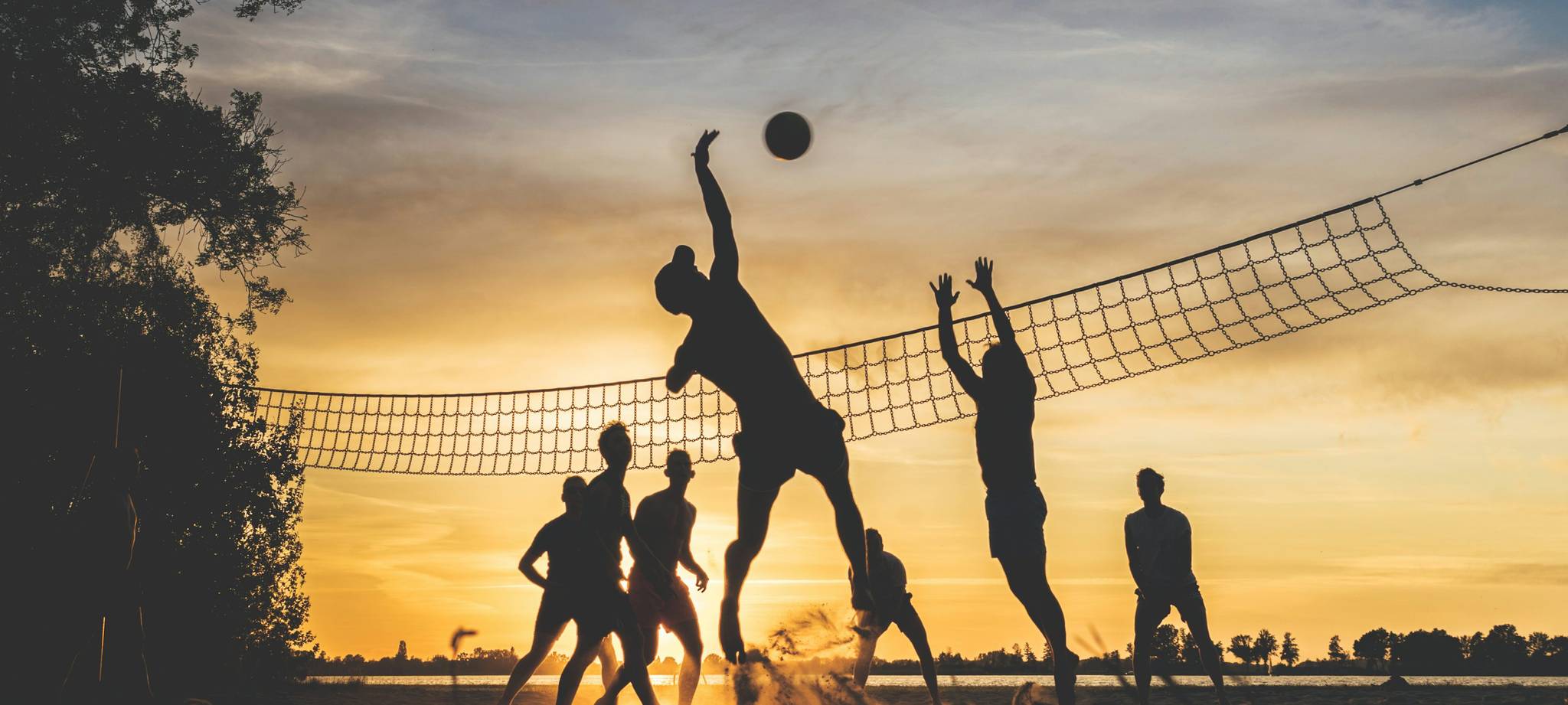 开云备用-校园运动会组织标准与执行偏差研究，运动会组织方案的制定