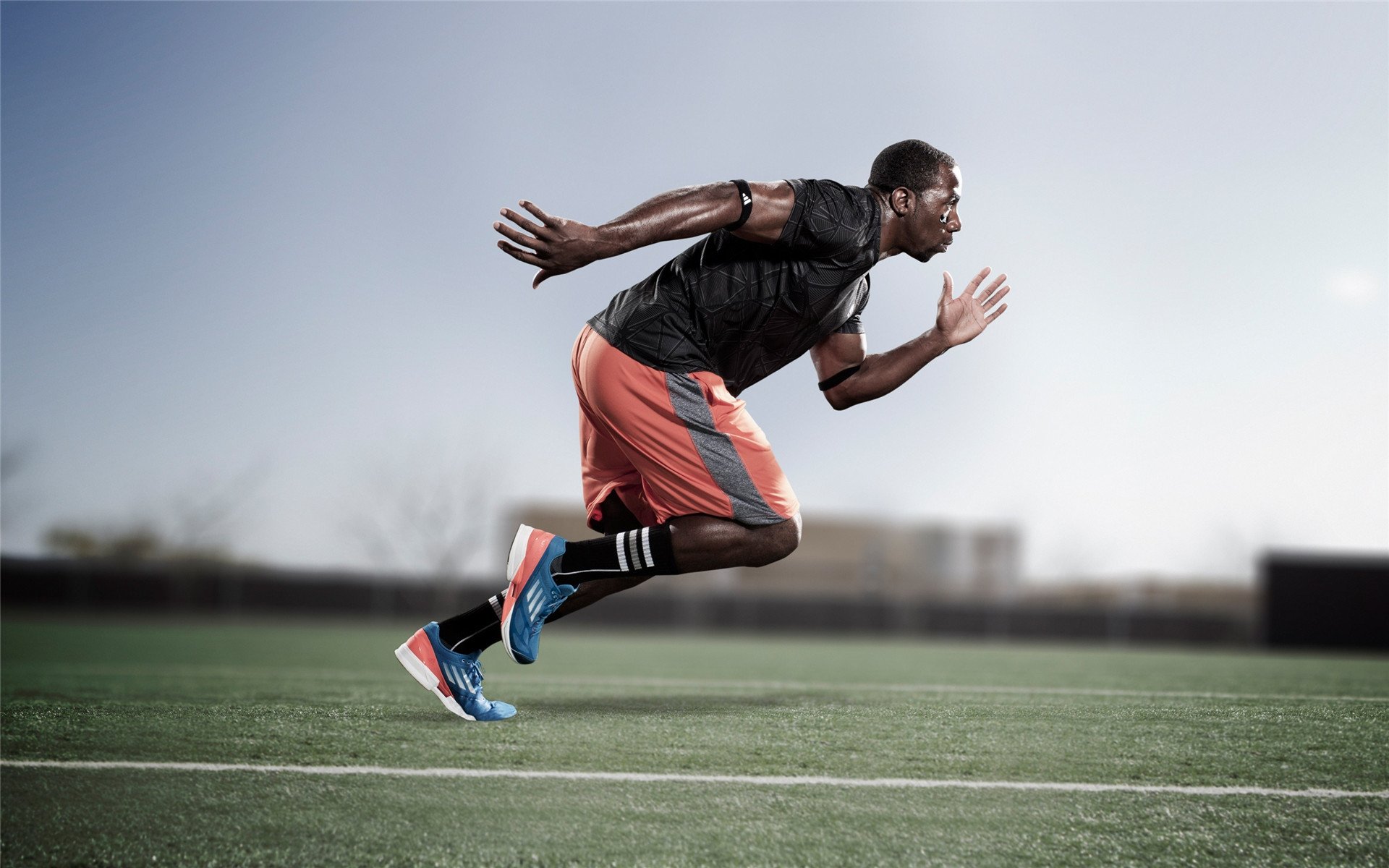 校园运动会组织标准与执行偏差研究,运动会组织方案的制定